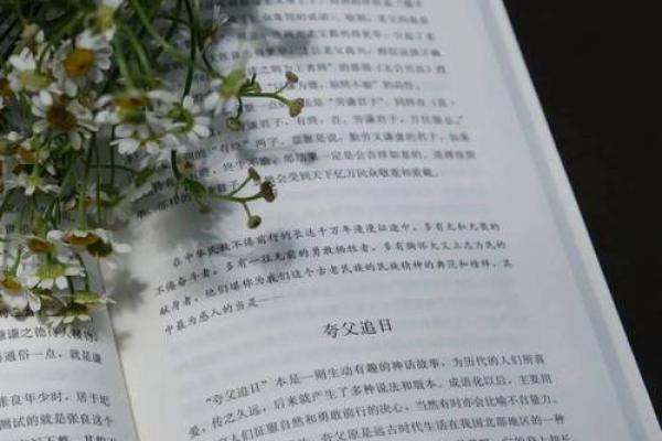 从命运中寻求智慧：从成语“命中注定”看人生哲学
