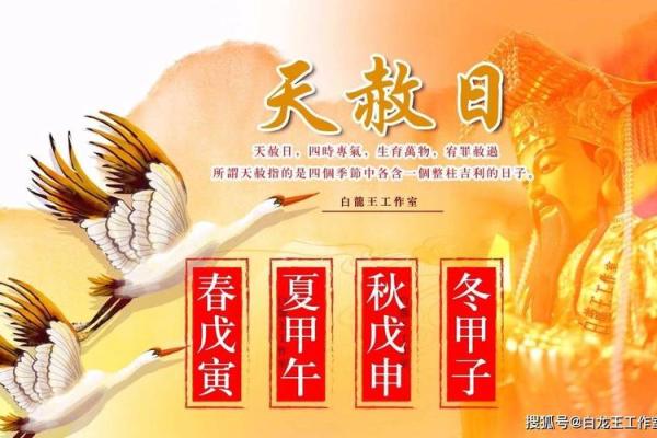 解读1979年12月29日出生人的命运与性格特征