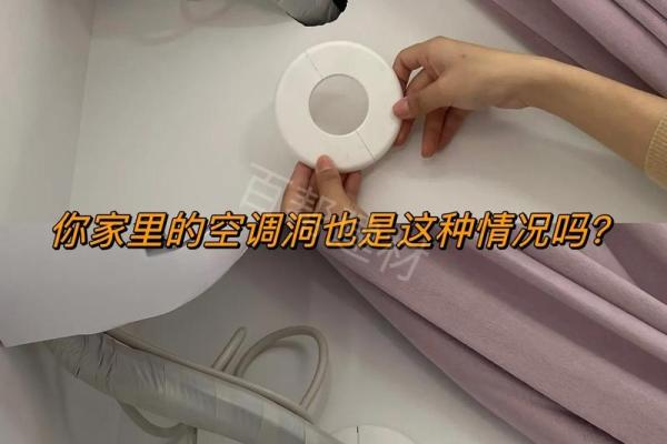 探索94.95命运之谜：生活的秘密与启示