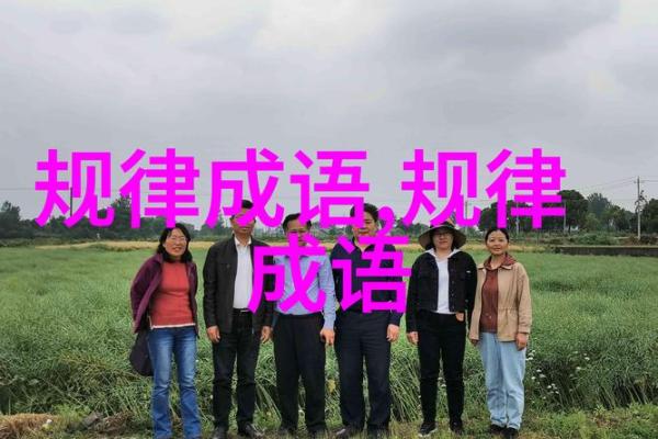 乖命与成语：揭示人生智慧的辞典之旅