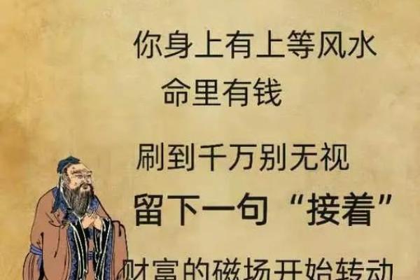 水命人与哪些命相合，财运亨通的秘密探讨
