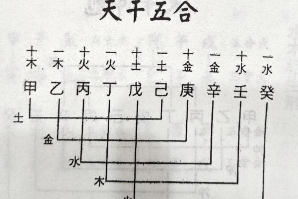 木命与土命的和谐共生：探索五行之间的关系