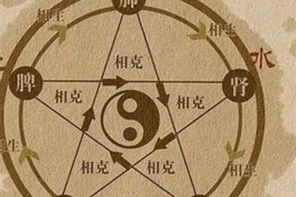 父母木命，孩子命理的秘密与启示