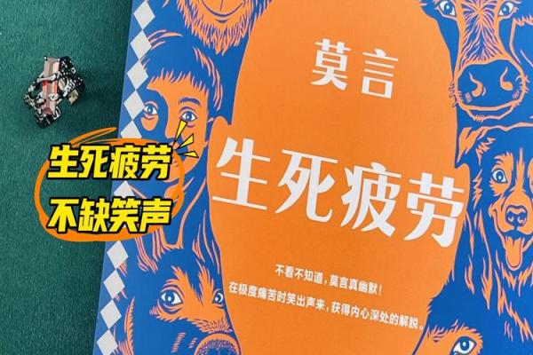 揭开2000年神秘面纱：命运之年如何影响我们的人生轨迹
