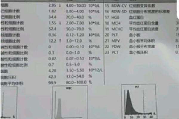 1994年出生的小鼠命运解析：幸福与挑战的平衡之路