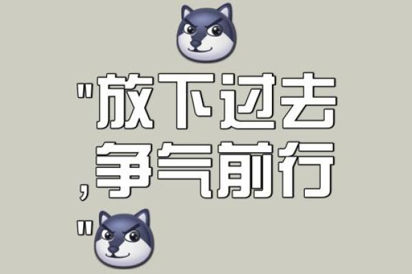 水到渠成：解读那些命中注定的人生之路