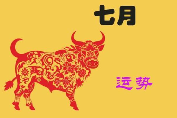 2013-2014年运势揭秘：你该如何把握命运的转机？