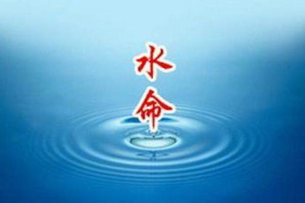 水命守护者：揭秘水命的秘密与运势