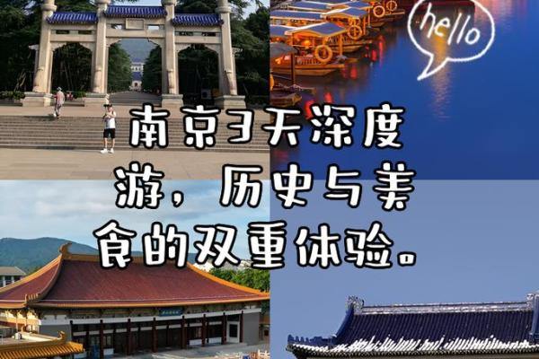 2003年属猪的命运解析：财富与幸福的双重体验