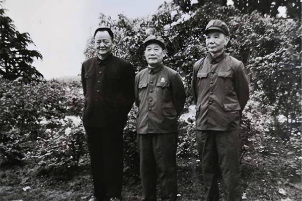 31岁猴子命运揭秘：你的幸福与事业之路从这里开始！