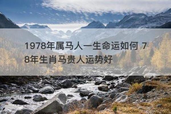 2002年马年：那些属于“马”的命运与机遇