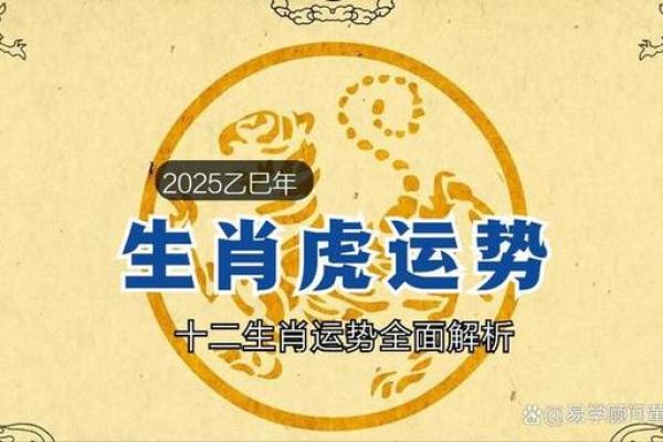 2022年十二生肖运势解析：如何把握好运与挑战