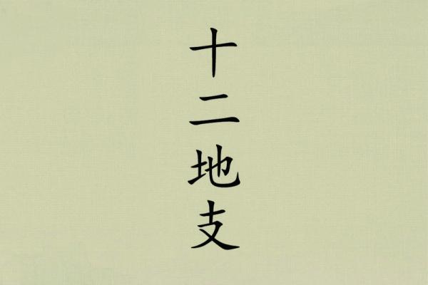 四丑三命：揭示男命中的命格奥秘与生活智慧
