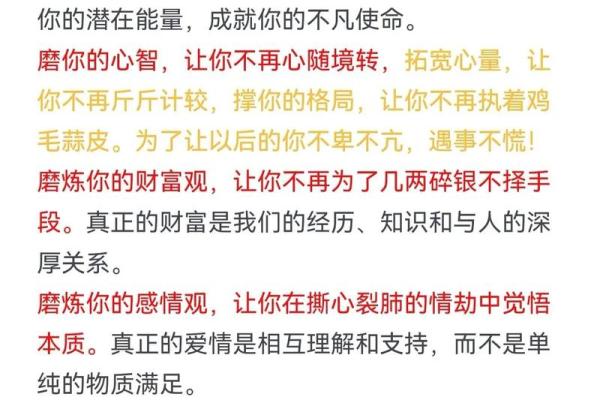 逆境中的坚持与成长：成功的必经之路