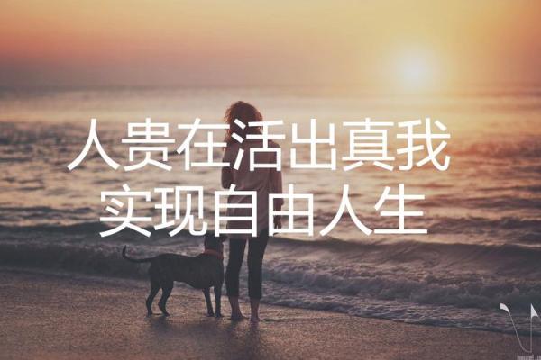 1971年金猪命：探寻隐秘的命运与人生智慧