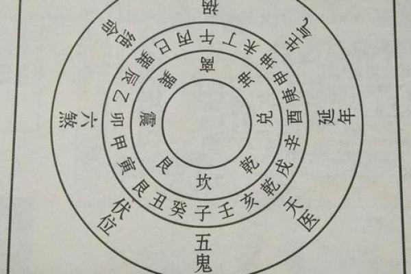 命主福元属东四命的深意与生活启示
