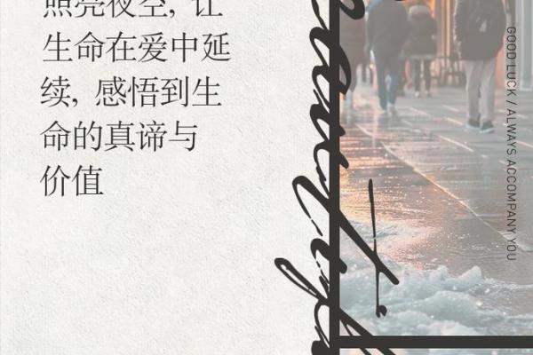 在追寻中绽放的生命之花：情绪与命运的交织之旅
