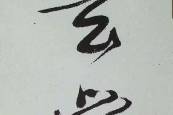 命由我定，生活掌握在自己手中