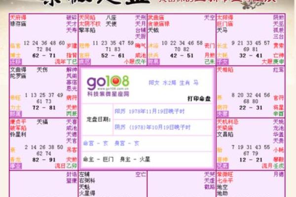紫薇命盘：解密最优命格，找到人生赢家之路