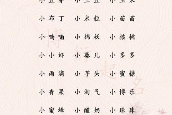 了解宝宝出生的命年：如何为新生命选择合适的名字与祝福