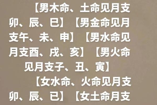 解密2018年：木命与金命的深刻寓意与影响
