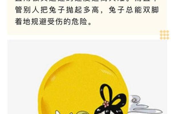 31岁生肖命理解析：了解你的生肖，揭示人生轨迹与性格特点