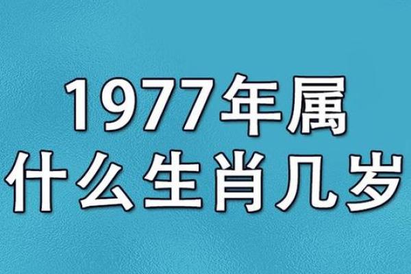 1977年出生的牛，命运与性格的深度解析