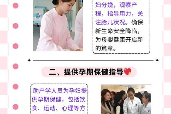 金凤凰降临：赋予生命的新机遇与命运之钥