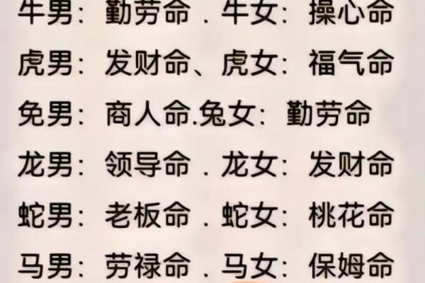 女命养男命的深层含义与启示