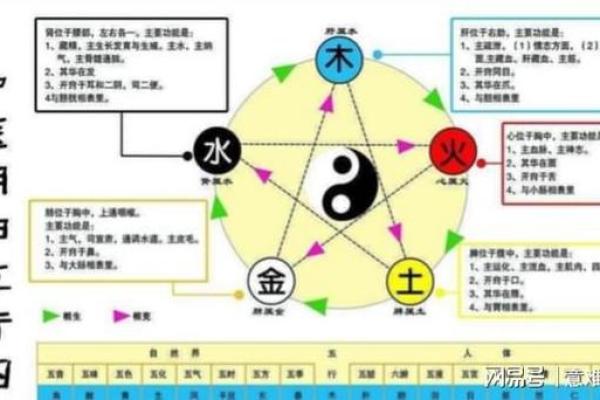 木命与其他五行命理的最佳搭配探讨