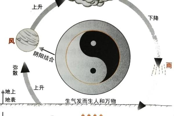 男命离婚再婚的命理秘诀：揭开命运的面纱与新生的希望
