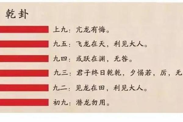 探秘震命与艮命：揭开命理的神秘面纱！