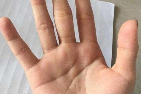 2029年狗年，命理揭秘：你属于哪一种命？一探究竟！