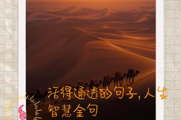 属猪人的命运解析：83岁之人生智慧与人生轨迹