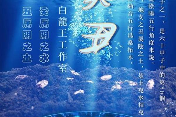 癸水命的财源之道：与哪些命局最相合？
