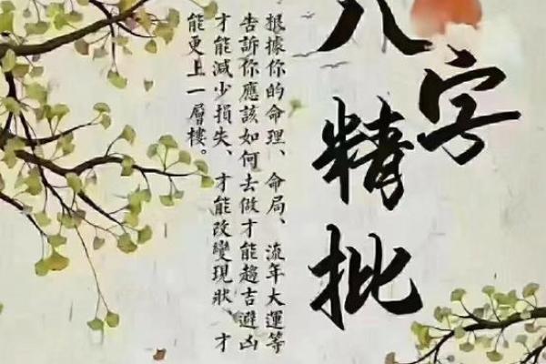 属蛇木命与哪些命理组合最合财运？解密财富密码！