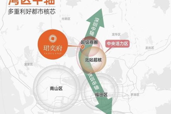 探索男丑时属狗之命：性格、运势与人生的多重解读