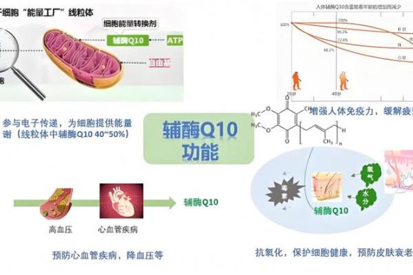 19736年的命运解析：揭开未来的神秘面纱