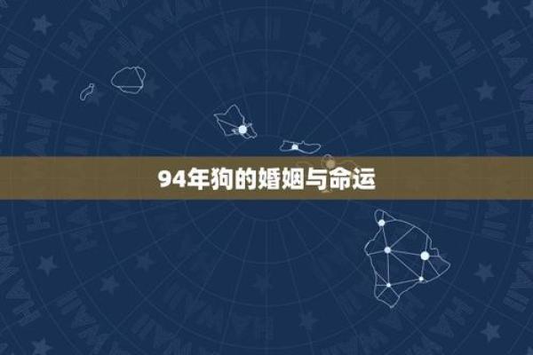 2019狗年命运解析：属狗人的特点与人生轨迹