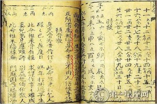 三两八钱的命：揭开命理中的神秘面纱