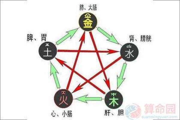 泉中水命：解析与木命的深刻联系