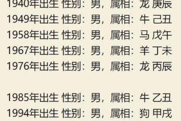 2016年属猪的命运与性格解析：八字命理深度剖析