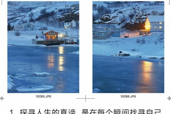 生命的意义与价值：在命运的摇篮中探寻人生的真谛