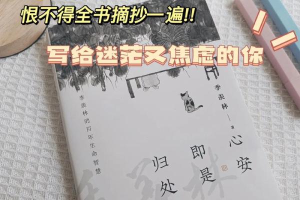 19900628：一段命运的精彩旅程与生命的智慧探寻