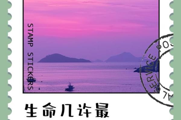 生命的意义与价值：在命运的摇篮中探寻人生的真谛