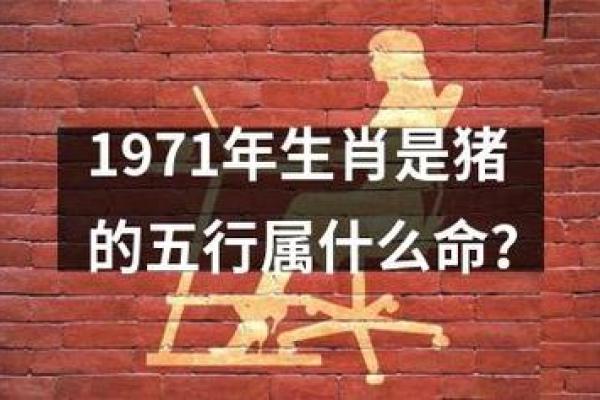 25岁属猪者的命格解析与运势指导