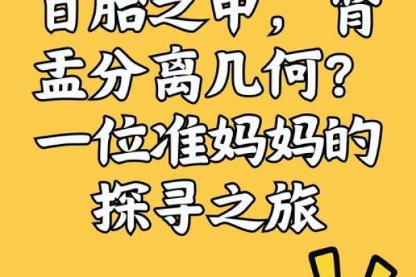 为什么妈妈的命这么苦？探寻背后的心酸与坚韧