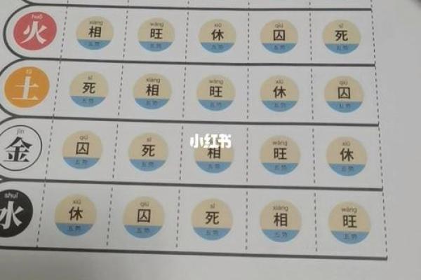 2065年出生的人命运解析：揭示命理的奥秘与智慧