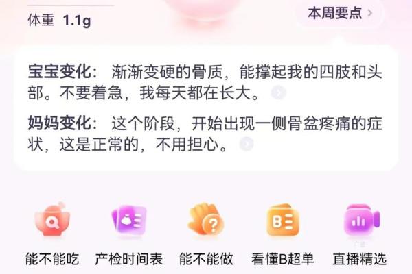 白蜡金命与最佳搭配，探寻命理中的缘分与和谐！