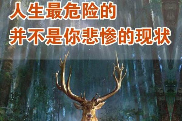 2019年12月10日的命运启示:逆境中的成长与改变 2019年12月10日的命运启示:逆境中的成长与改变